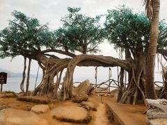 -海南分界洲岛旅游区