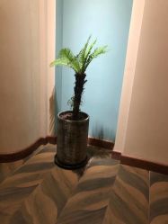 -娇玫荟SPA