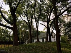 -徐家汇源景区-衡山公园