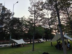 -二沙岛艺术公园