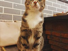 -酒友老火锅(渝中店)