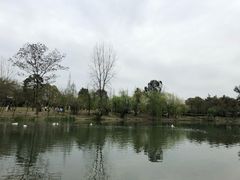 -两河城市森林公园