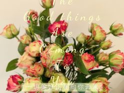 -FUMEIHUI·科技美肤·美体SPA