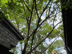 -VOYAGE COFFEE(杨梅竹店)