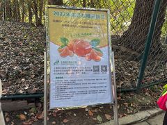 -上海滨江森林公园