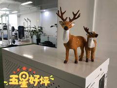 -卓拓健身普拉提运动中心(总店)