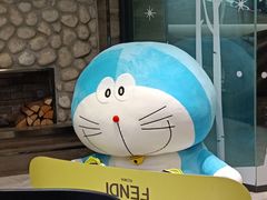 -SNOWGATE滑雪·华雪梦(老西门店)