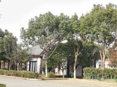 -太阳岛度假酒店
