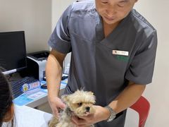 -伟伟宠物医院·CT影像中心·瑞派犬猫综合性门诊(汉口总院)
