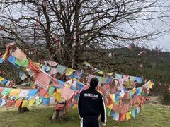 -硗碛藏寨·神木垒景区