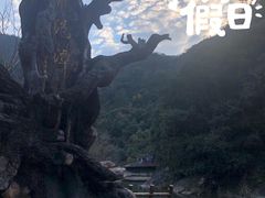 -龙湾潭国家森林公园