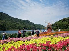 -广州市石门国家森林公园