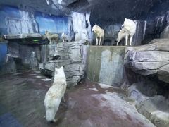 -多彩贵州城极地海洋世界