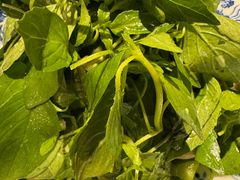 -金狮麟·新豫菜(金码大厦店)