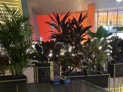 -haxnbauer海森堡德国餐厅(深圳coco店)