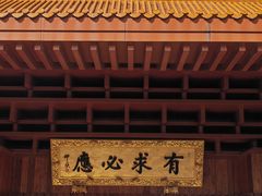 -深圳仙湖植物园