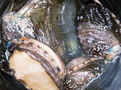 -太湖饭店玉兰厅(自助餐厅)