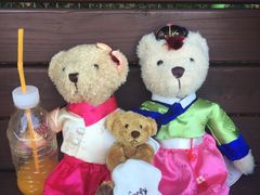 -济州岛泰迪熊博物馆