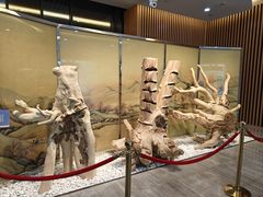 -香市公园-中国沉香文化博物馆