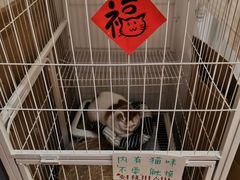 -猫的天空之城概念书店(苏州平江店)