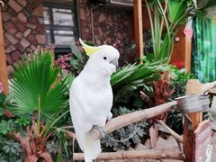 -南宫五洲植物乐园