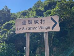 -南丫岛