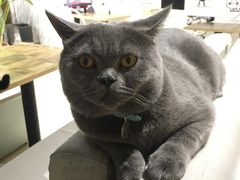 -小时光咖啡馆(开森度假森林店)