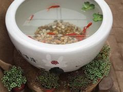 -秦美花卉(天朗·莱茵小城2期店)