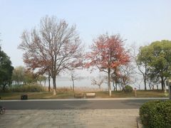 -东湖磨山景区