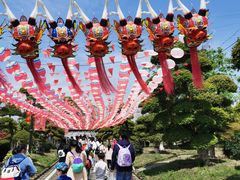 -武汉紫薇都市田园