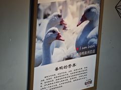 -斯丹姜母鸭·古法干香(田安南路店)