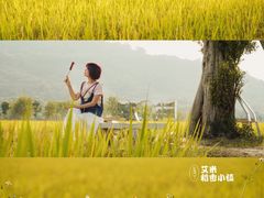 -艾米稻香小镇