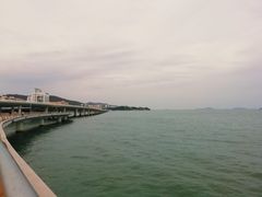 -演武大桥观景平台