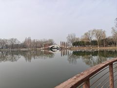 -石家庄市植物园