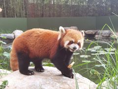 -北京野生动物园