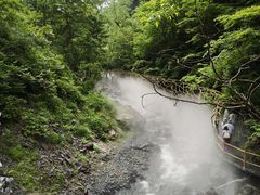 -凤凰山国家森林公园