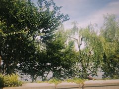 -浙江西子宾馆·牡丹厅