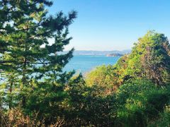 -南紀白浜 浜千鳥の湯 海舟
