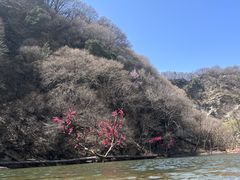 -少华山国家森林公园