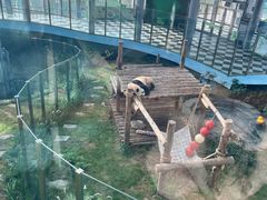 -大连森林动物园