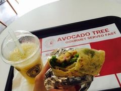 -油梨树AVOCADO TREE(顺义新国展店)