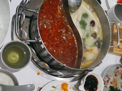 -洪氏嗨捞·广东猪肚鸡·椰子鸡火锅(西咸万象城店)