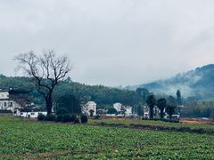 -塔川景区
