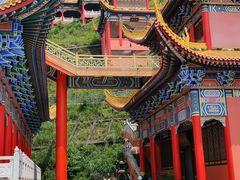 -东莞市大岭山森林公园