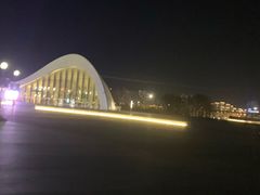 -哈尔滨大剧院