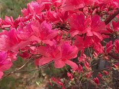 -德全心悦酒店(北京金台路地铁站店)