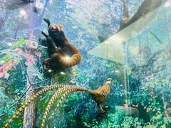 -国家自然博物馆