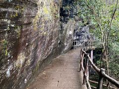 -石台牯牛降景区