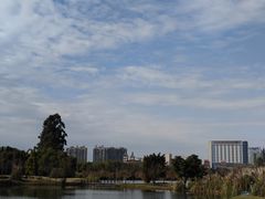 -眉山湿地公园(东坡区)