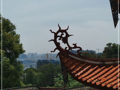 -金鸡山公园